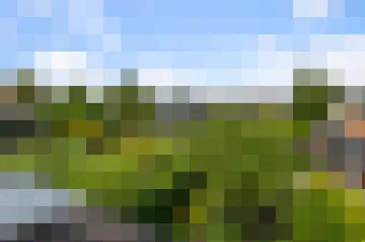 De Sint Willebrordus 7 Zaandam thumbnail 41