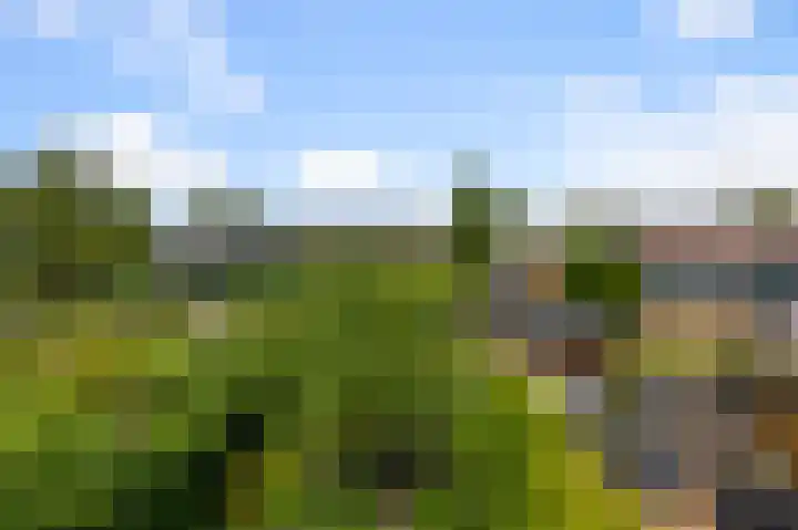 De Sint Willebrordus 7 Zaandam thumbnail 42
