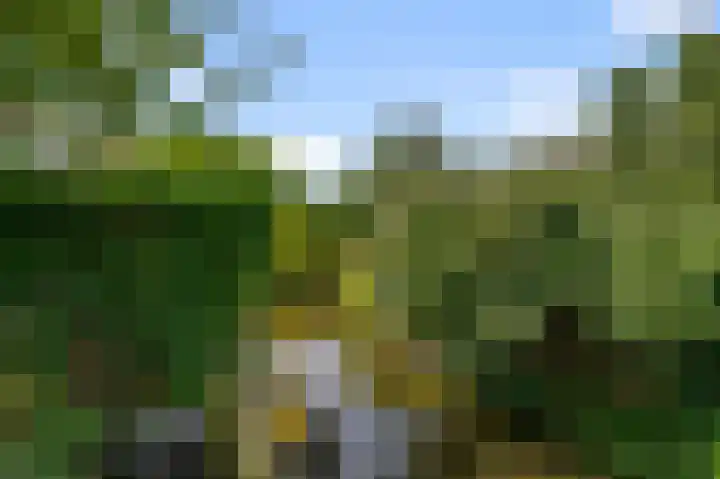 De Sint Willebrordus 7 Zaandam thumbnail 44