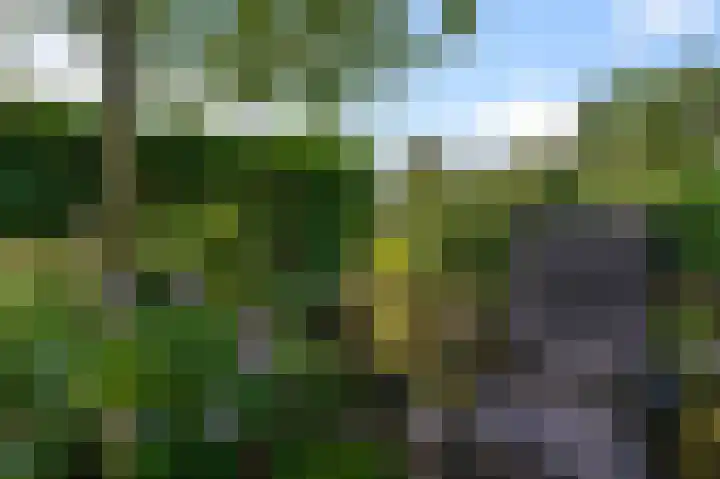 De Sint Willebrordus 7 Zaandam thumbnail 45