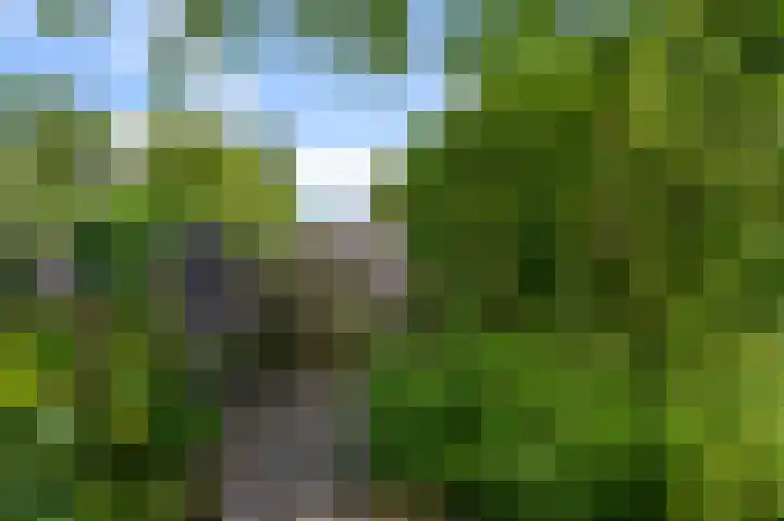 De Sint Willebrordus 7 Zaandam thumbnail 47