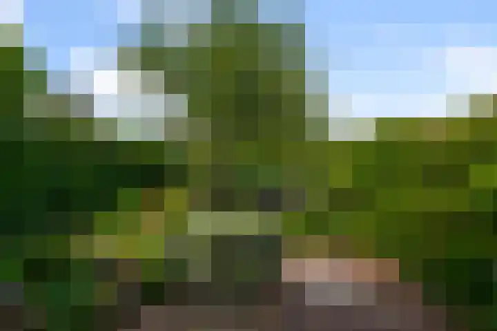 De Sint Willebrordus 7 Zaandam thumbnail 51