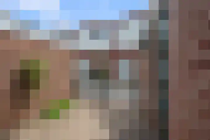 De Sint Willebrordus 7 Zaandam thumbnail 52