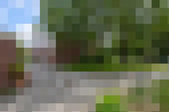 De Sint Willebrordus 7 Zaandam thumbnail 54
