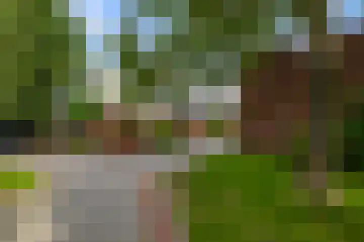 De Sint Willebrordus 7 Zaandam thumbnail 55