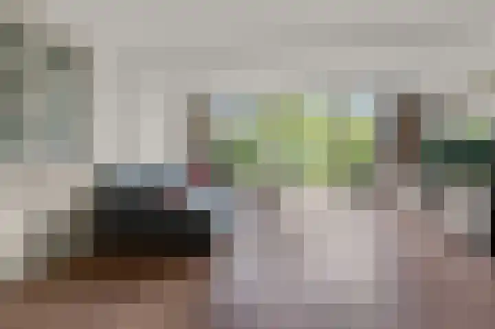 De Sint Willebrordus 7 Zaandam thumbnail 6