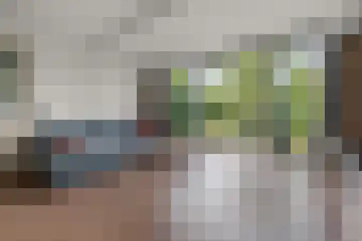 De Sint Willebrordus 7 Zaandam thumbnail 8