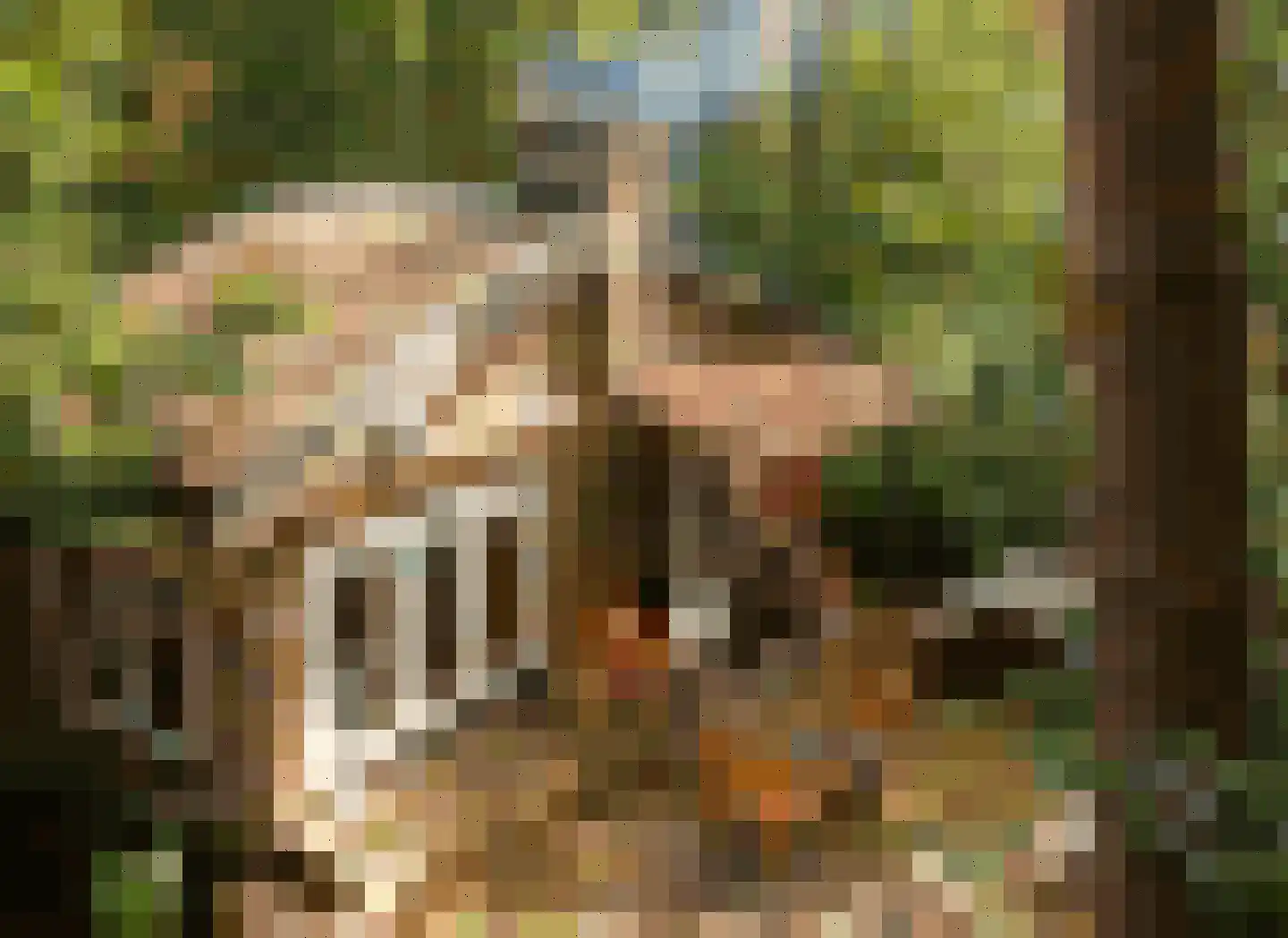 De Siptenpad 26 in Tilburg