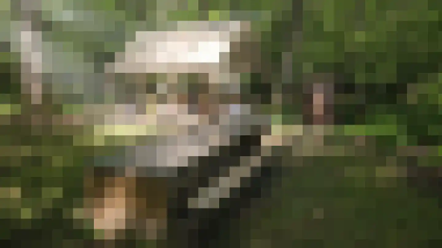 De Siptenpad 26 Tilburg thumbnail 6