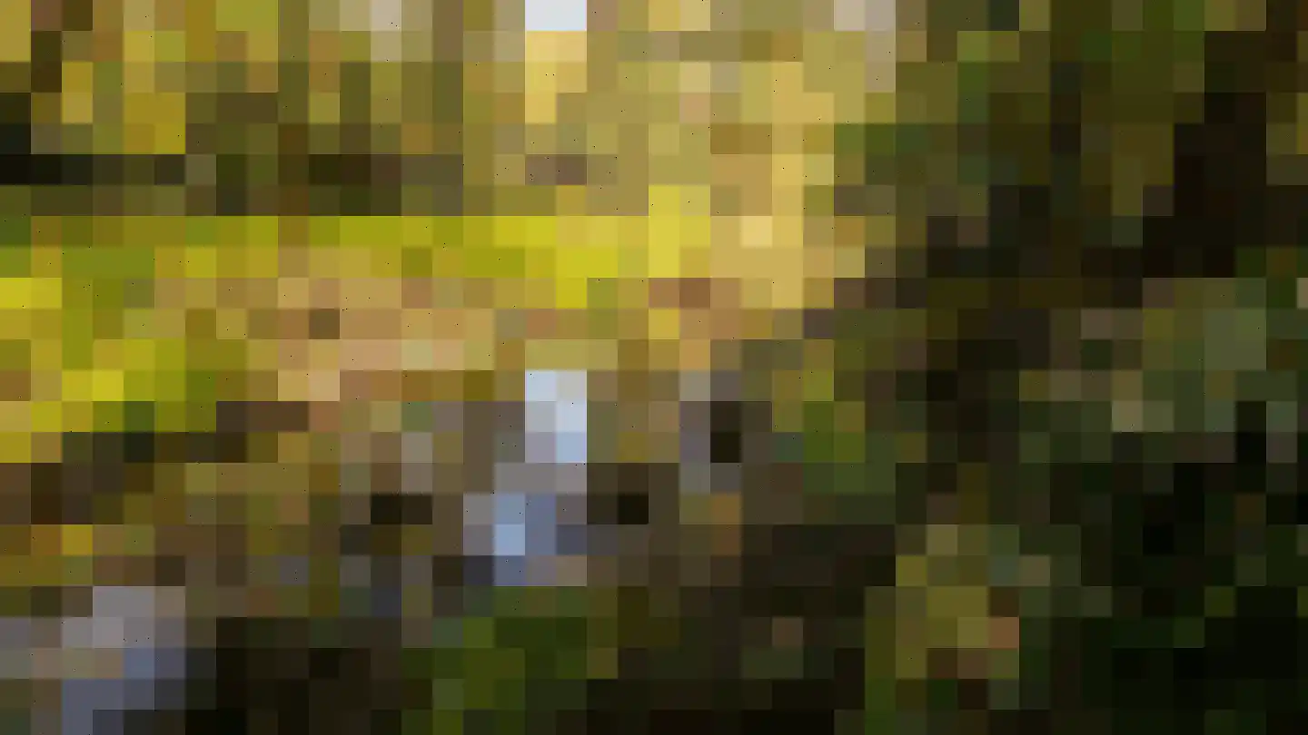 De Siptenpad 26 Tilburg thumbnail 7