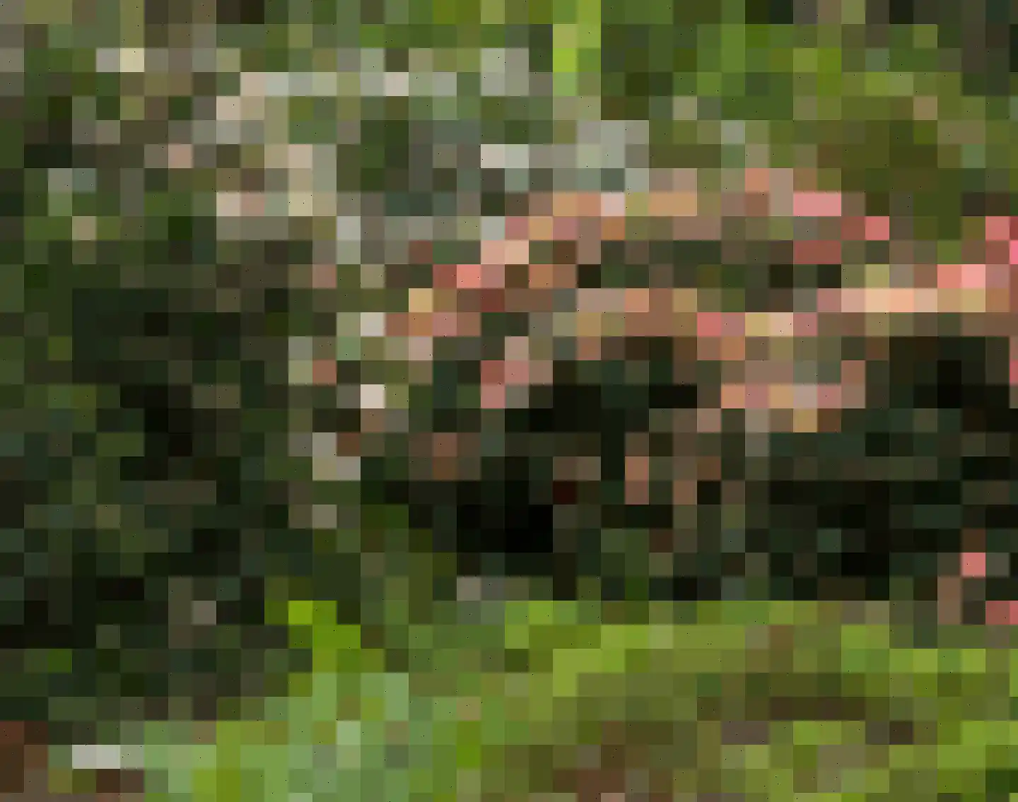 De Siptenpad 26 Tilburg thumbnail 8