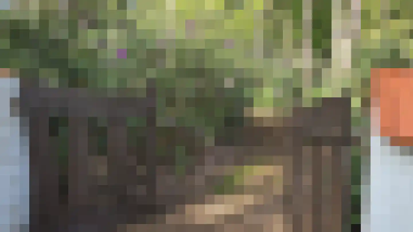 De Siptenpad 26 Tilburg thumbnail 9