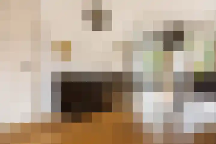 De Sitterlaan 109 Leiden thumbnail 6