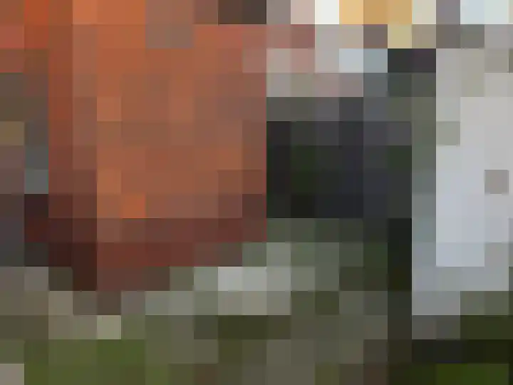 De Sitterlaan 13 Leiden thumbnail 20