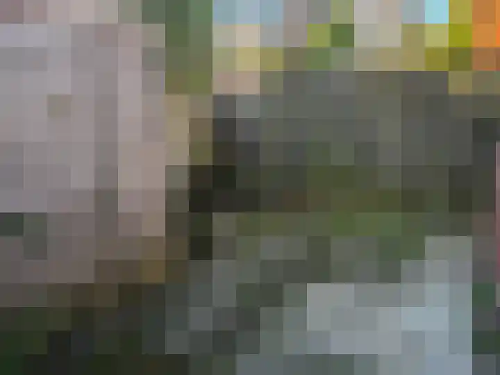 De Sitterlaan 13 Leiden thumbnail 21