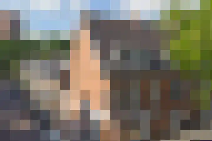 De Sitterlaan 17 Leiden thumbnail 26