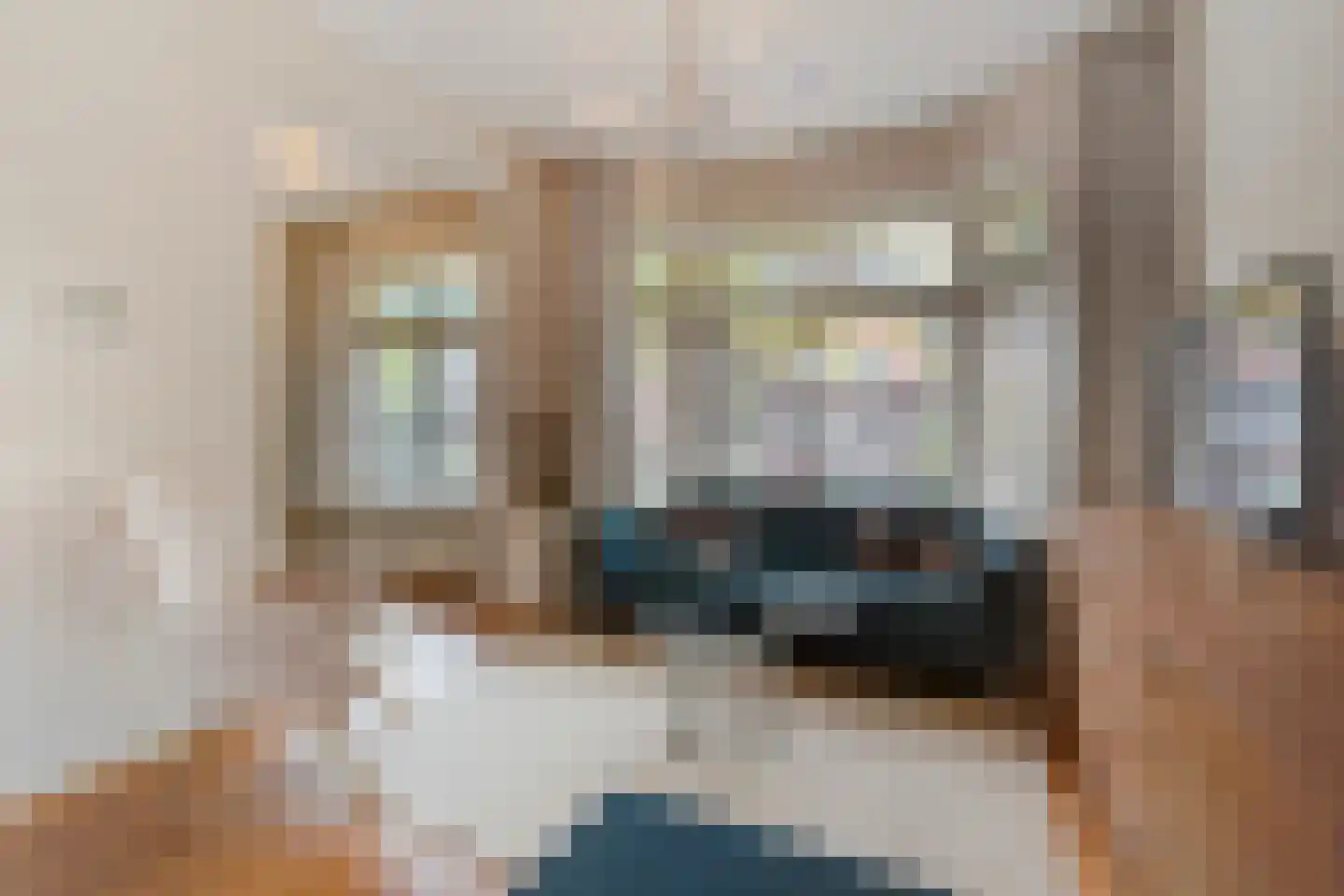 De Sitterlaan 3 A Leiden thumbnail 17