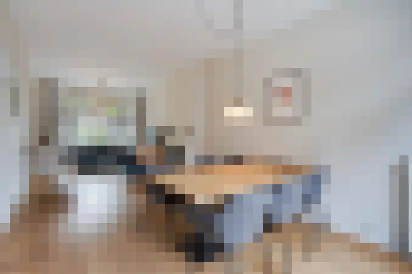 De Sitterlaan 3 A Leiden thumbnail 20