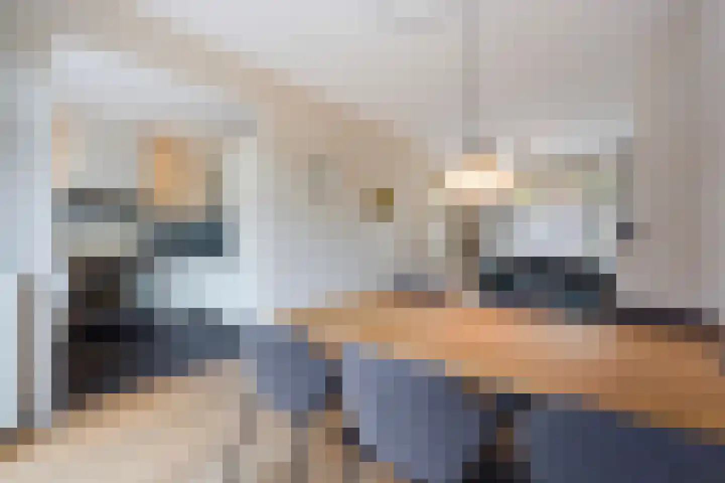 De Sitterlaan 3 A Leiden thumbnail 21