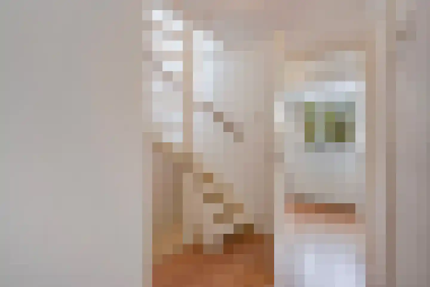 De Sitterlaan 3 A Leiden thumbnail 31