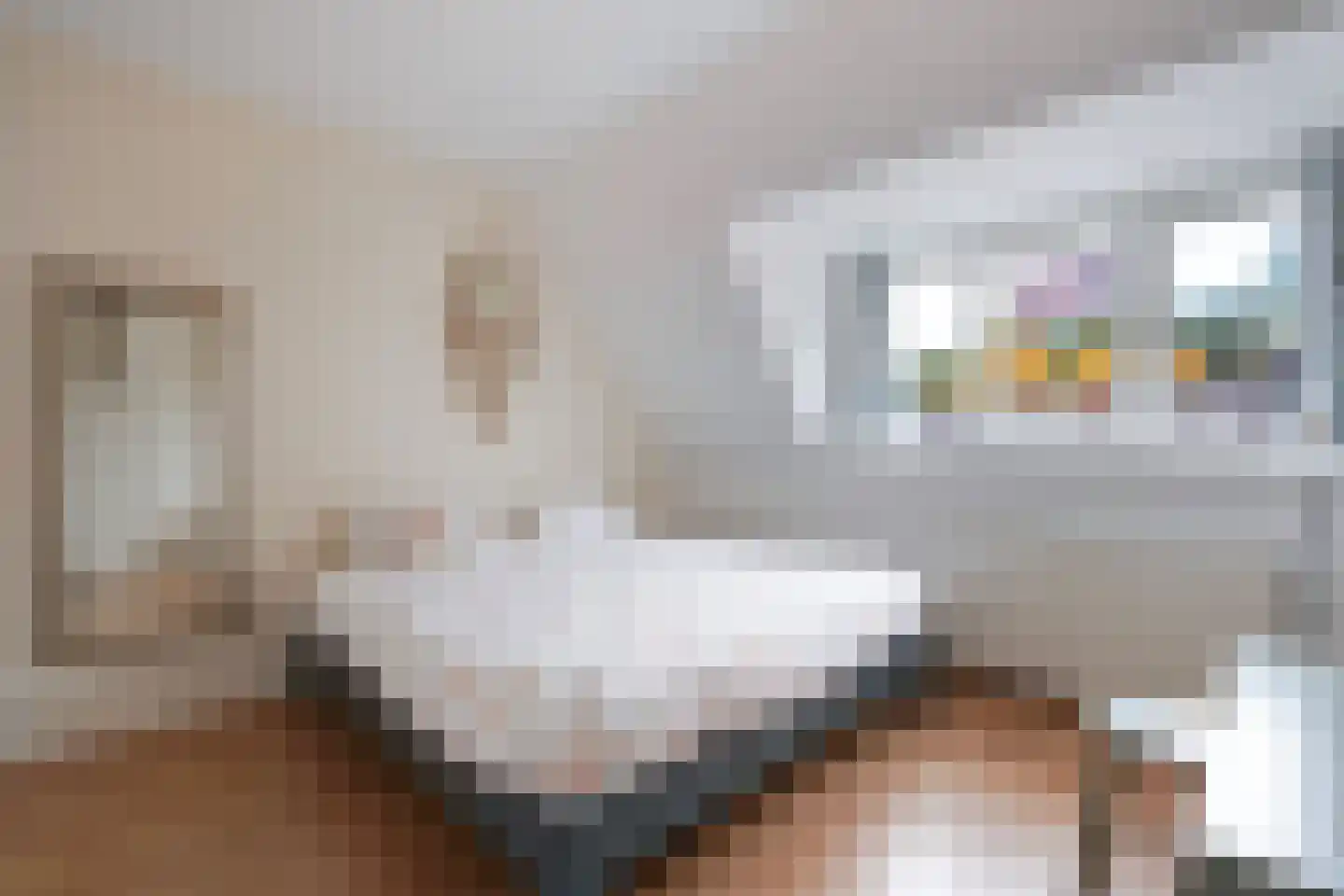 De Sitterlaan 3 A Leiden thumbnail 34
