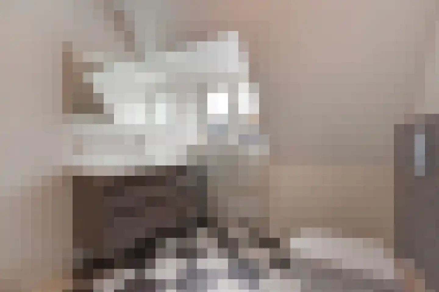 De Sitterlaan 3 A Leiden thumbnail 36