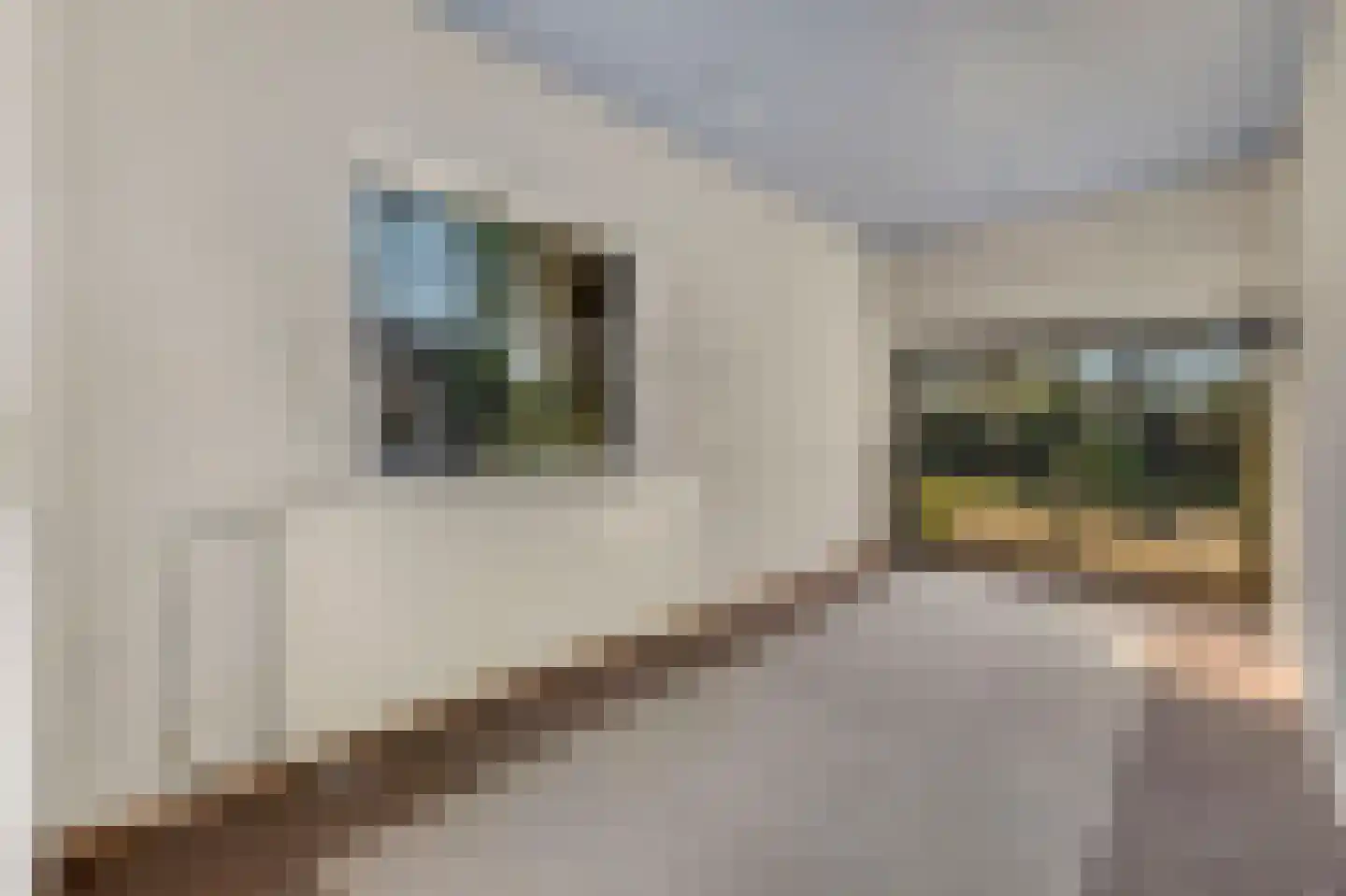 De Sitterlaan 37 Veldhoven thumbnail 31