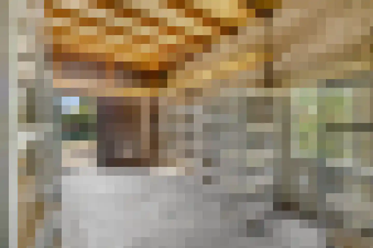 De Sitterlaan 37 Veldhoven thumbnail 36