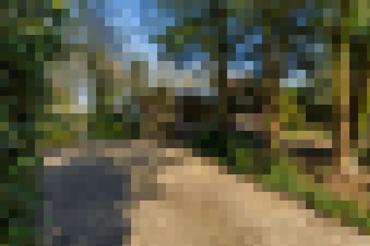 De Sitterlaan 37 Veldhoven thumbnail 37