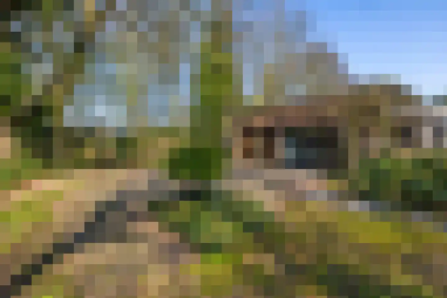 De Sitterlaan 37 Veldhoven thumbnail 52