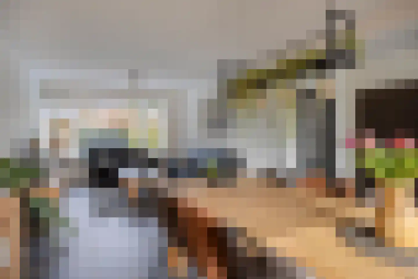 De Sitterlaan 44 Veldhoven thumbnail 15