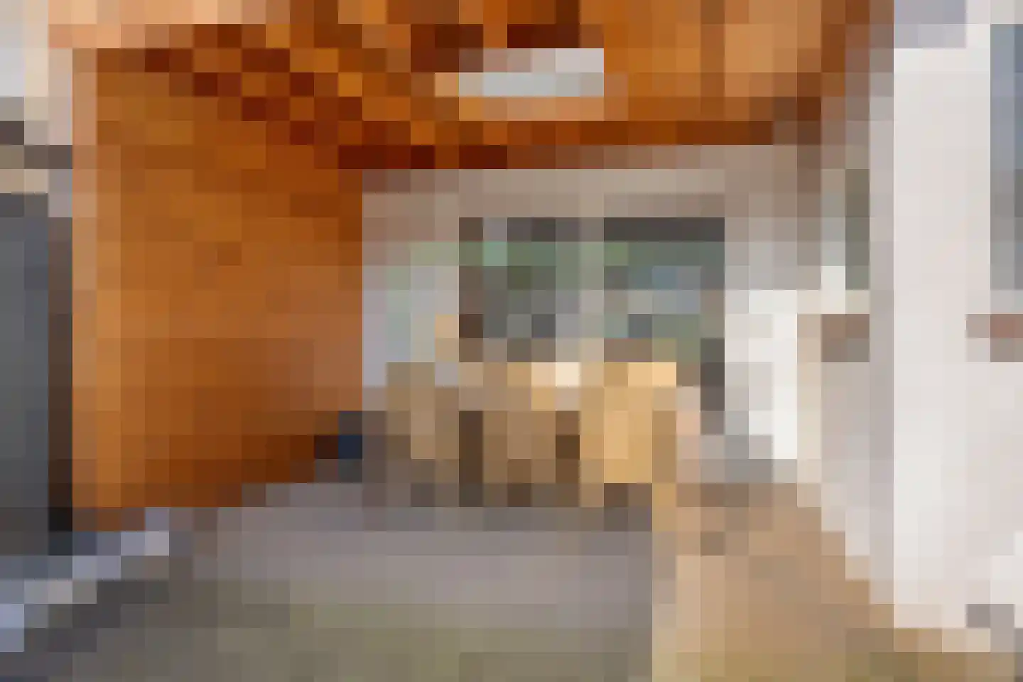 De Sitterlaan 44 Veldhoven thumbnail 35