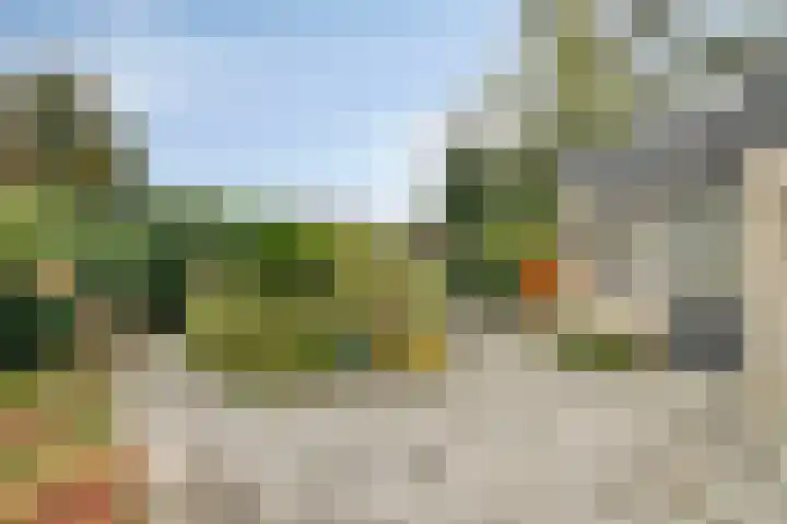 De Sitterlaan 6 Hoogeveen thumbnail 24