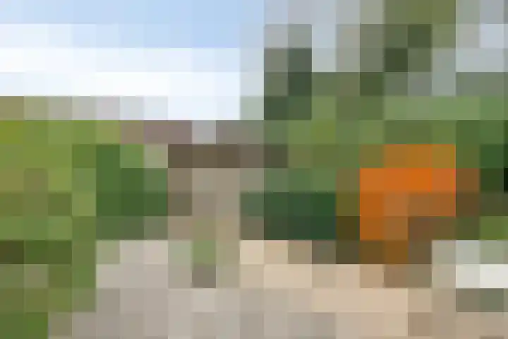 De Sitterlaan 6 Hoogeveen thumbnail 25