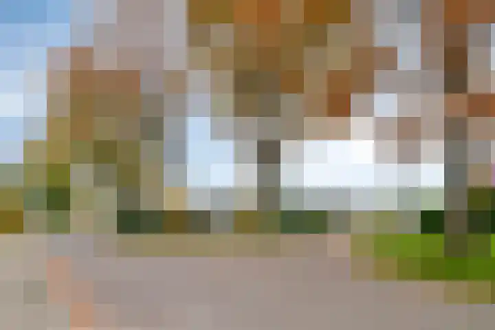 De Sitterlaan 6 Hoogeveen thumbnail 29