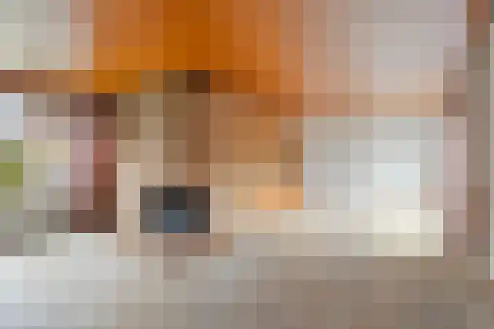 De Sitterlaan 6 Hoogeveen thumbnail 4