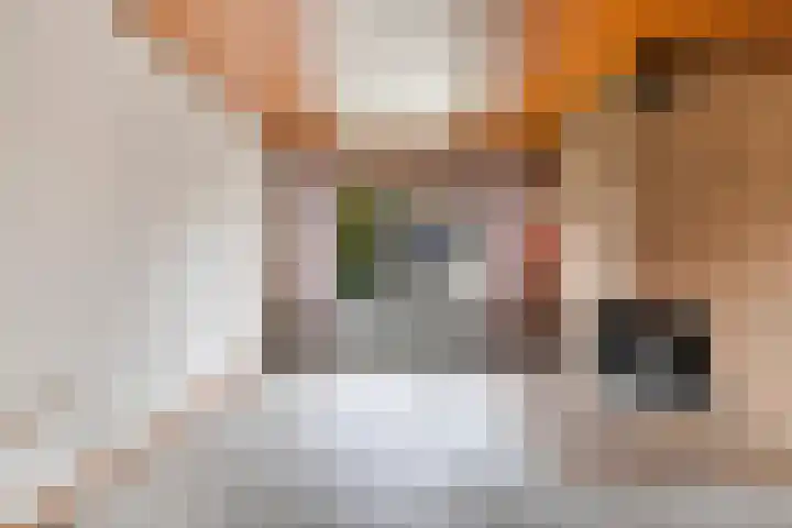 De Sitterlaan 6 Hoogeveen thumbnail 5