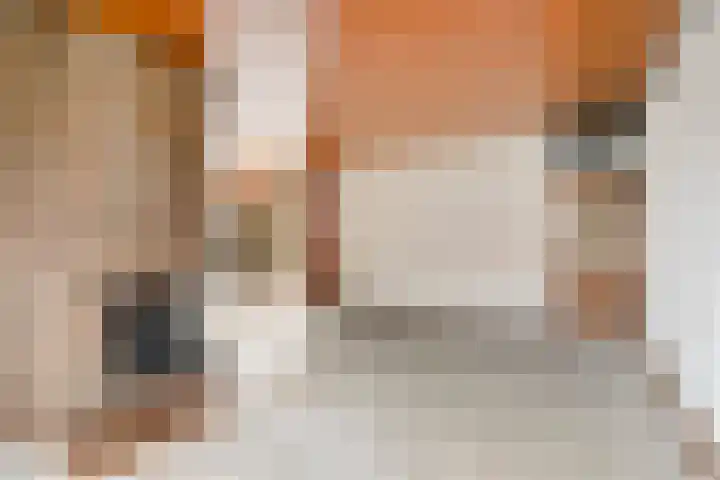 De Sitterlaan 6 Hoogeveen thumbnail 6