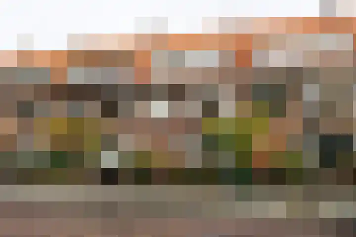 De Sitterlaan 60 A Leiden thumbnail 27