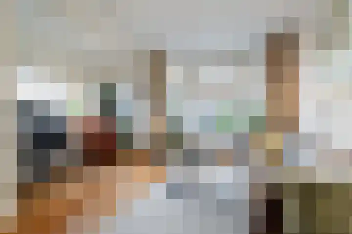 De Sitterlaan 66 Leiden thumbnail 7