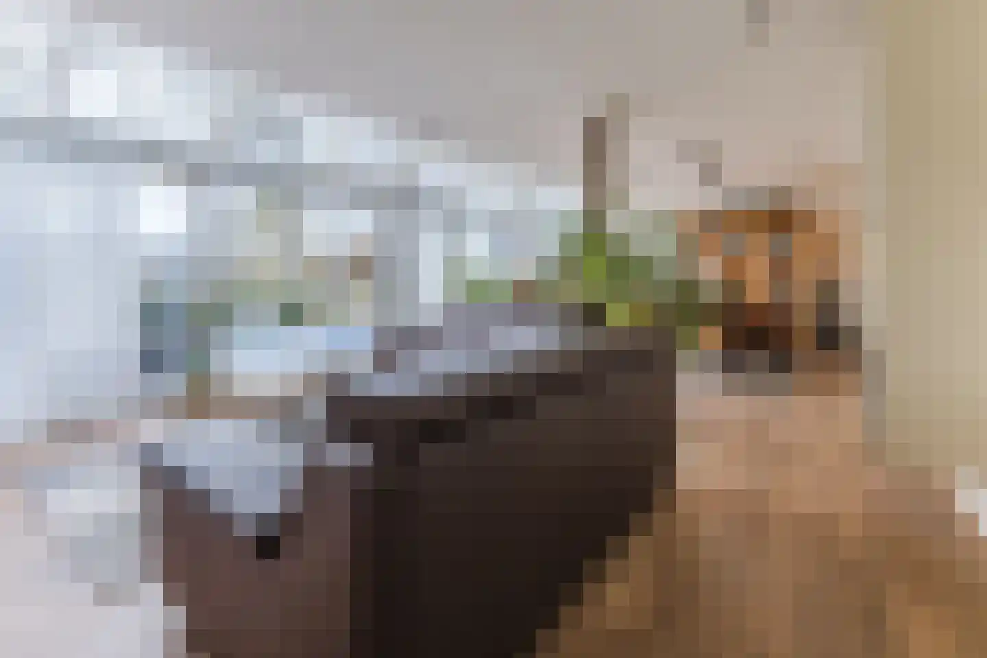 De Sitterlaan 7 Veldhoven thumbnail 17