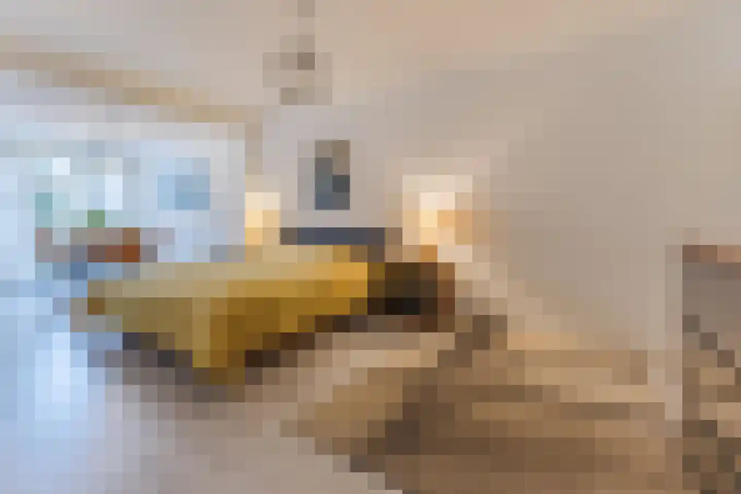 De Sitterlaan 7 Veldhoven thumbnail 36