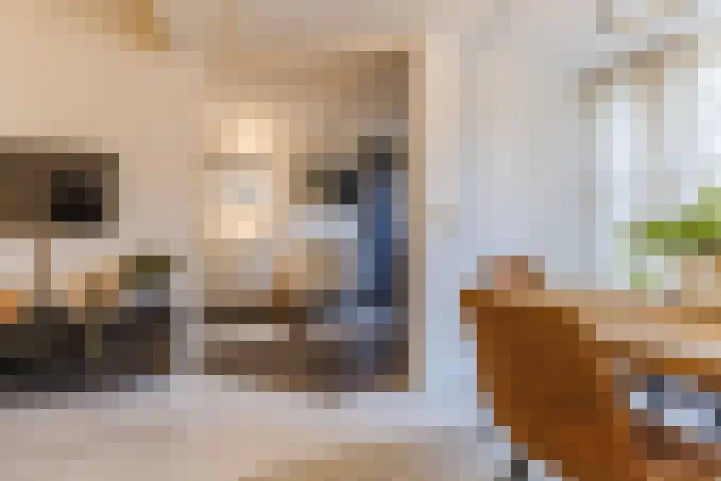 De Sitterlaan 7 Veldhoven thumbnail 38