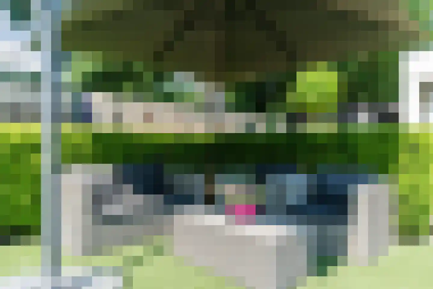 De Sitterlaan 7 Veldhoven thumbnail 61