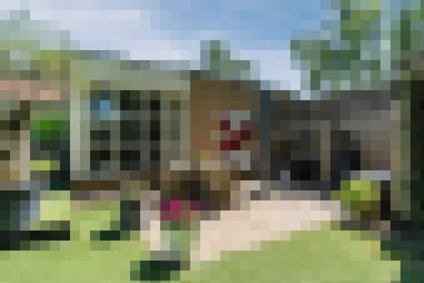 De Sitterlaan 7 Veldhoven thumbnail 67