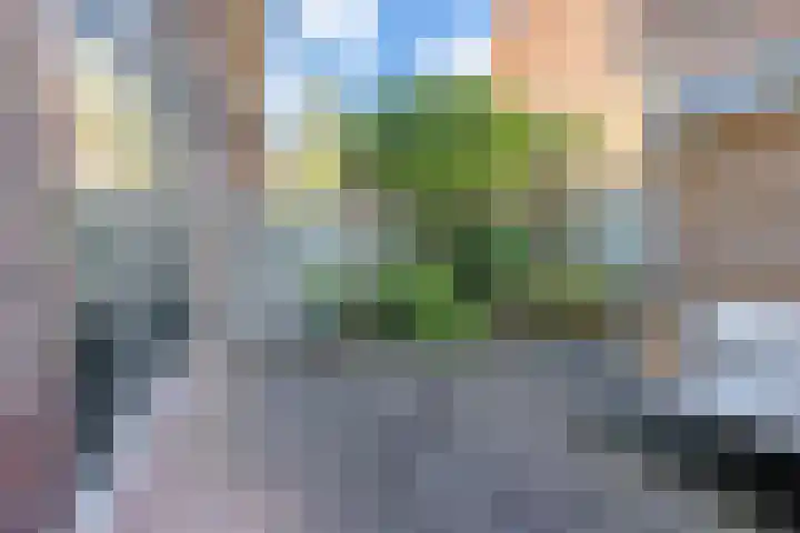 De Sitterlaan 70 Leiden thumbnail 4