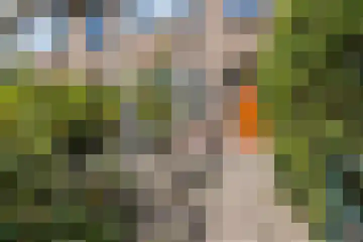 De Sitterlaan 70 Leiden thumbnail 6