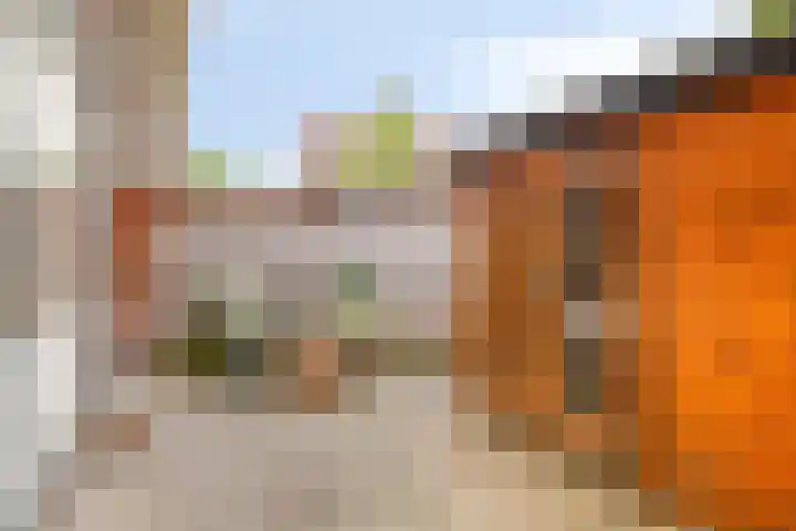 De Sitterlaan 78 Leiden thumbnail 15