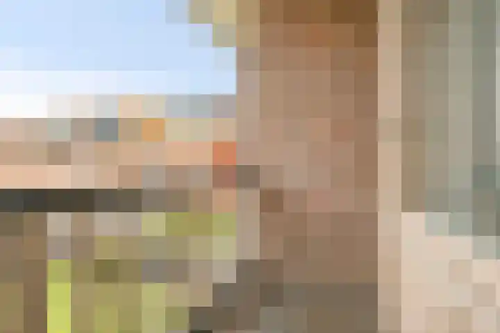 De Sitterlaan 78 Leiden thumbnail 33