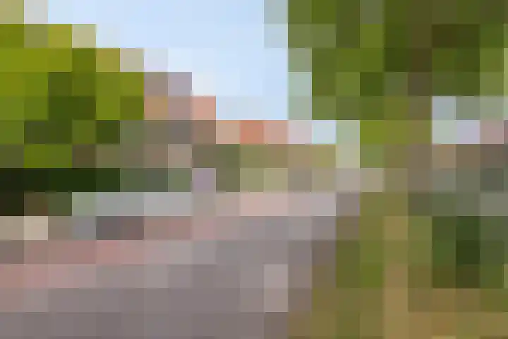 De Sitterlaan 78 Leiden thumbnail 37